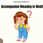 Accompanied Meaning in Hindi?