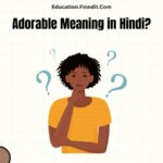 Adorable Meaning in Hindi