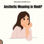 Aesthetic Meaning in Hindi