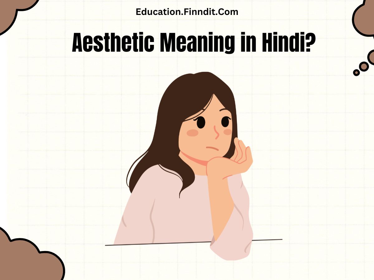 Aesthetic Meaning in Hindi