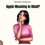 Apple Meaning in Hindi?