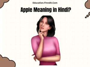 Apple Meaning in Hindi?