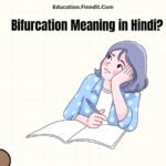 Bifurcation Meaning in Hindi?