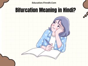 Bifurcation Meaning in Hindi?