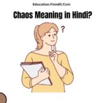 Chaos Meaning in Hindi