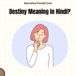 Destiny Meaning in Hindi