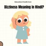 Dizziness Meaning in Hindi