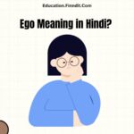 Ego Meaning in Hindi