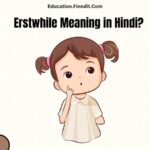 Erstwhile Meaning in Hindi?