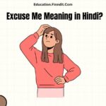 Excuse Me Meaning in Hindi