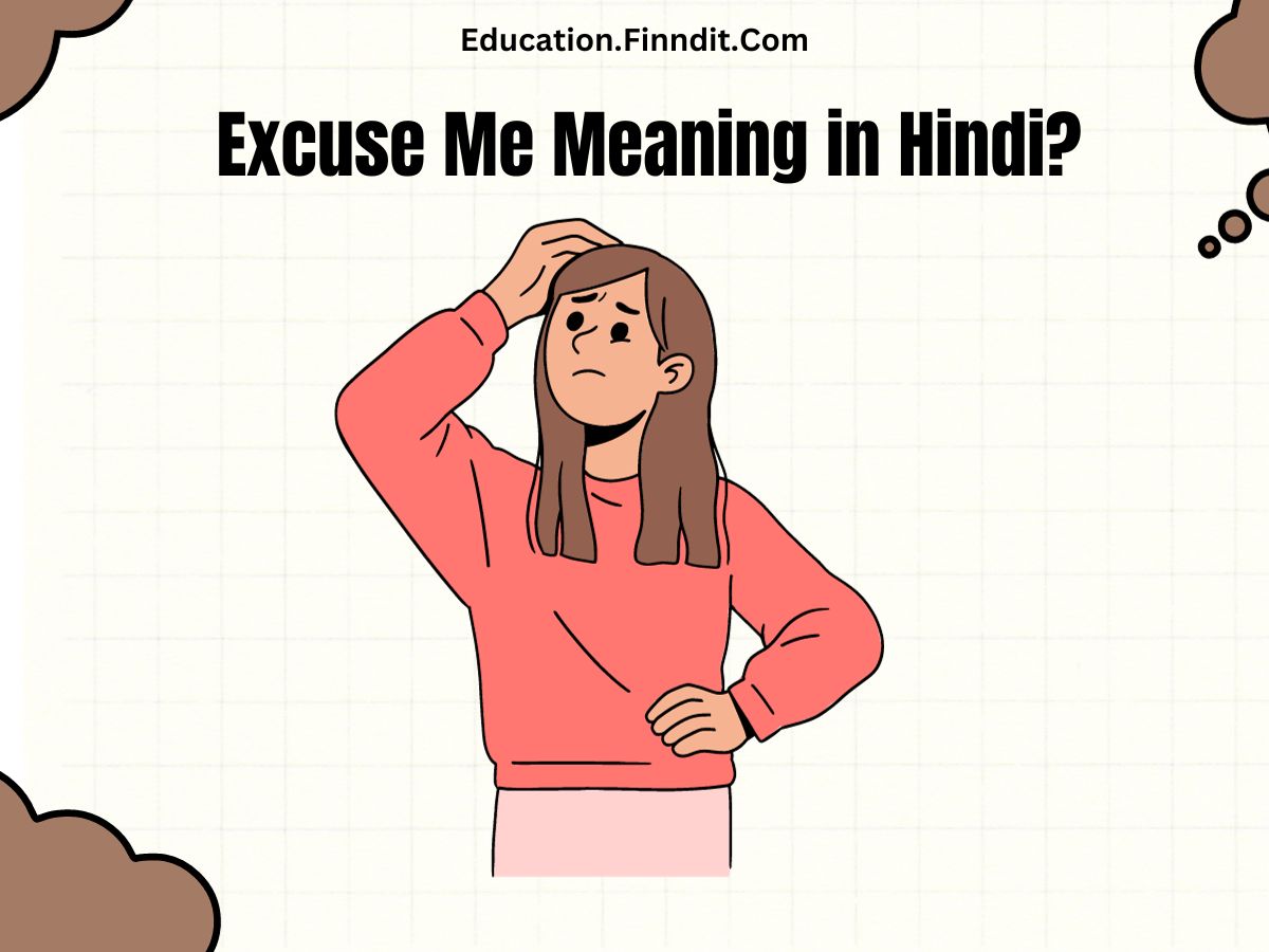 Excuse Me Meaning in Hindi