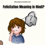 Felicitation Meaning in Hindi?