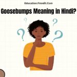 Goosebumps Meaning in Hindi