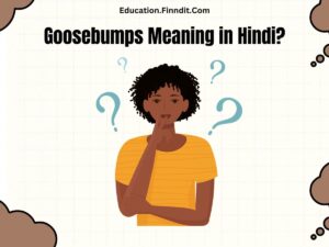 Goosebumps Meaning in Hindi