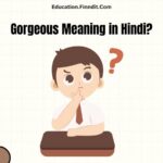 Gorgeous Meaning in Hindi