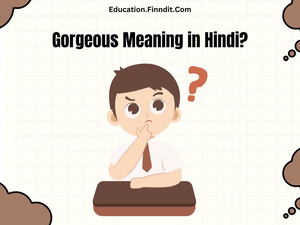 Gorgeous Meaning in Hindi