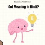 Got Meaning in Hindi?