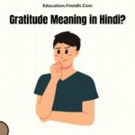 Gratitude Meaning in Hindi