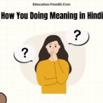 How You Doing Meaning in Hindi