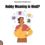 Hubby Meaning in Hindi