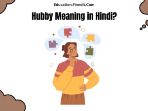 Hubby Meaning in Hindi