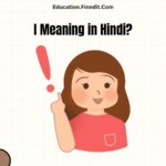 I Meaning in Hindi