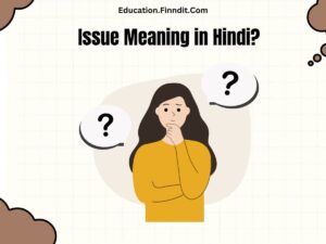 Issue Meaning in Hindi?