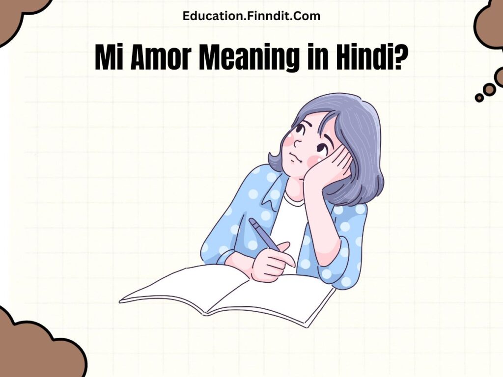 Mi Amor Meaning in Hindi