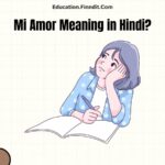 Mi Amor Meaning in Hindi