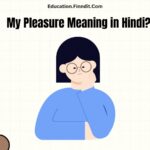 My Pleasure Meaning in Hindi