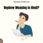 Nephew Meaning in Hindi