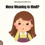 Niece Meaning in Hindi