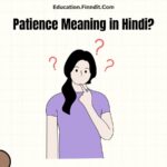 Patience Meaning in Hindi