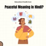 Peaceful Meaning in Hindi