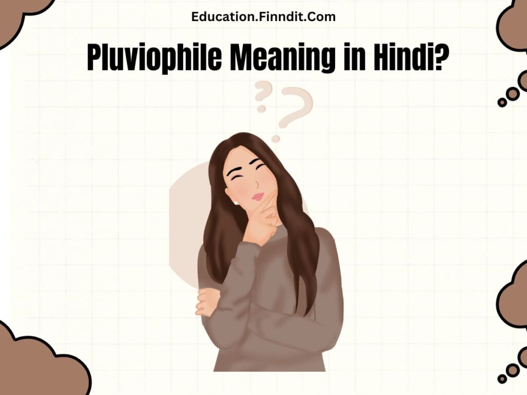 Pluviophile Meaning in Hindi