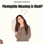 Pluviophile Meaning in Hindi