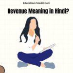 Revenue Meaning in Hindi