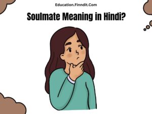 Soulmate Meaning in Hindi