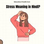 Stress Meaning in Hindi?