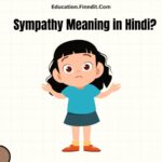 Sympathy Meaning in Hindi