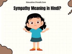 Sympathy Meaning in Hindi