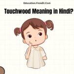 Touchwood Meaning in Hindi