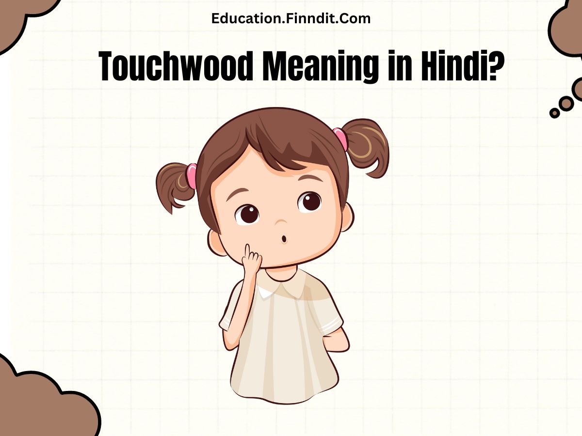 Touchwood Meaning in Hindi