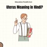 Uterus Meaning in Hindi?