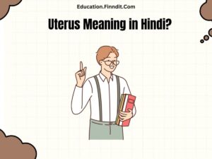 Uterus Meaning in Hindi?