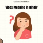 Vibes Meaning in Hindi