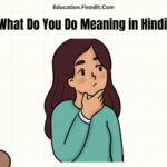 What Do You Do Meaning in Hindi?