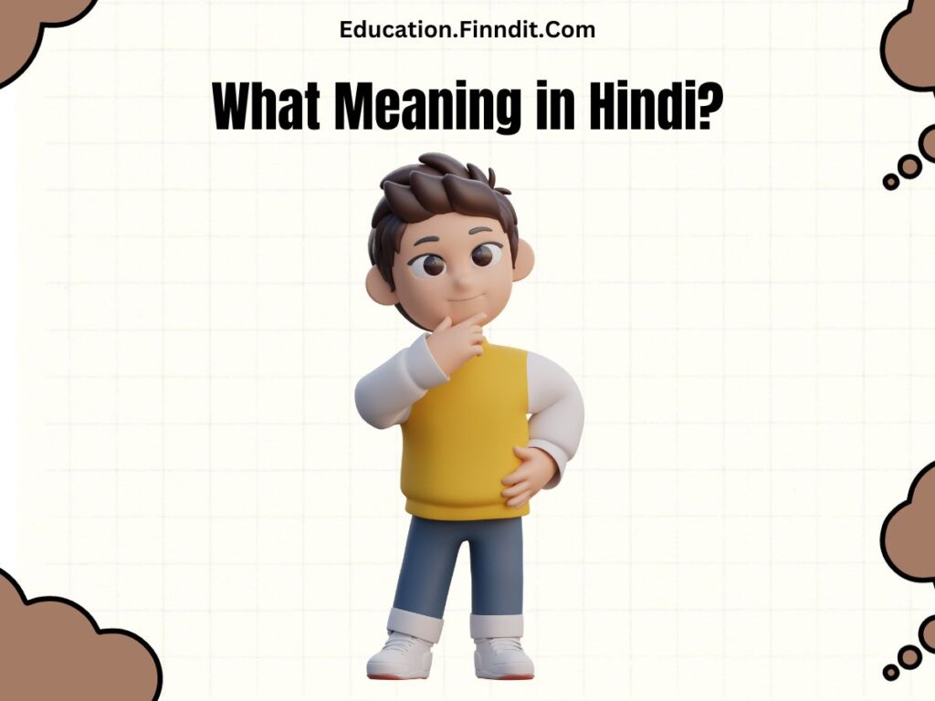 What Meaning in Hindi