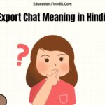 Export Chat Meaning in Hindi - "चैट निर्यात करें"