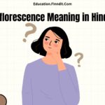 Inflorescence Meaning in Hindi